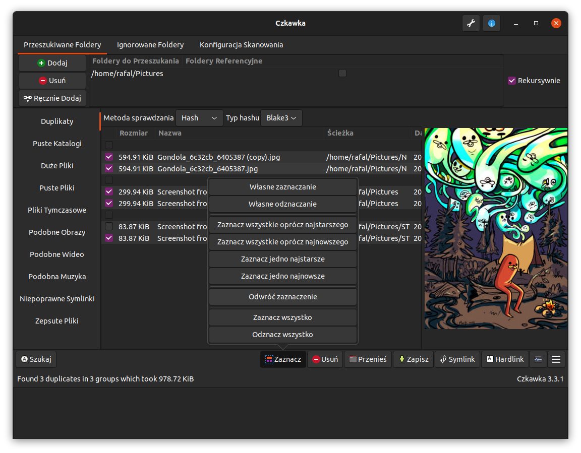 Czkawka GTK GUI main interface showing duplicate file finder